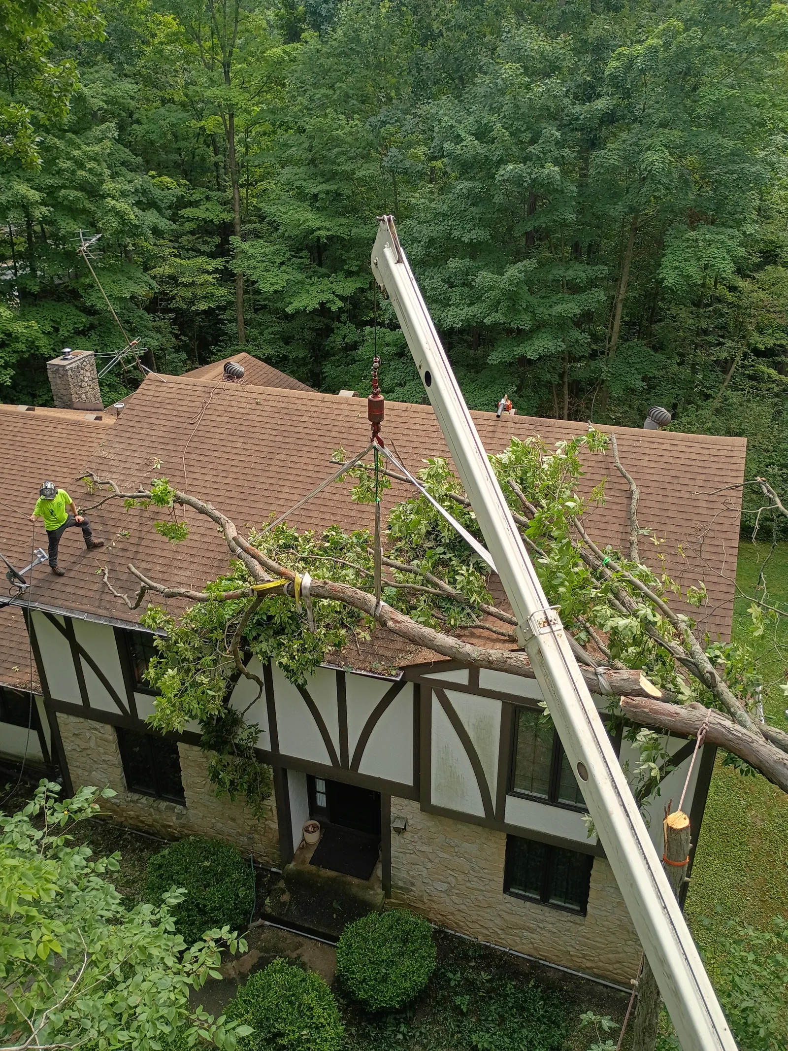 A crane lowers a large tree limb over a house roof while a worker in a hard hat guides it